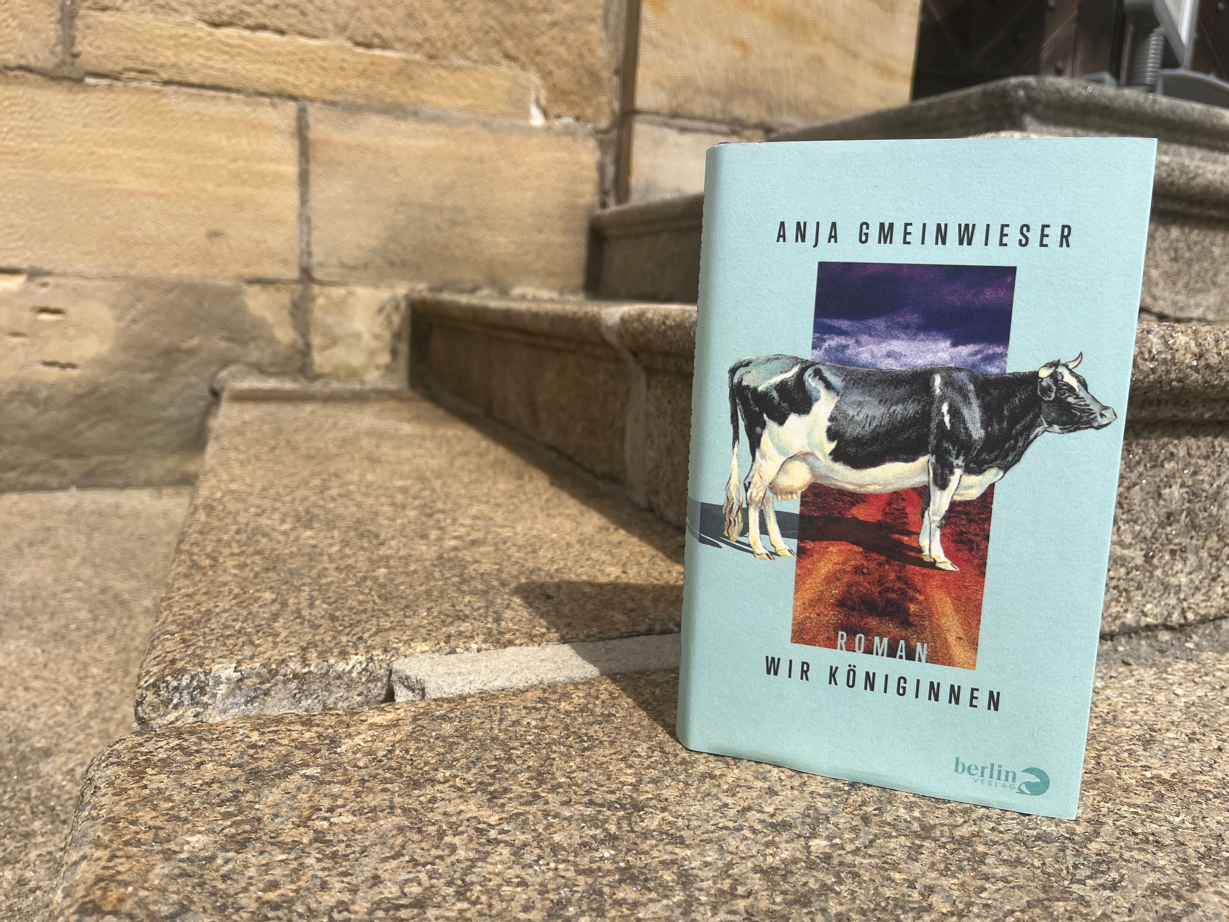 Das Buch von Anja Gmeinwieser "Wir Königinnen" 